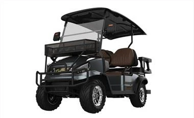 Electric Club Cart Golf CE Approal